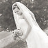 Velvet Paper Photography - Nicholasville KY Wedding Photographer Photo 22