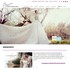 Bijou Bridal & Special Occasion - Villa Park IL Wedding Bridalwear