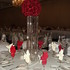 Lisa. G Events - Dearborn MI Wedding Planner / Coordinator Photo 5