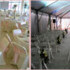 A Step to Gold Internatiional Ballroom - Raleigh NC Wedding Reception Site Photo 6