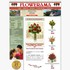 Flowerama - Jacksonville FL Wedding Florist