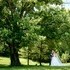 Cindy Dover Photography - Cincinnati OH Wedding Photographer Photo 4