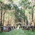Cindy Dover Photography - Cincinnati OH Wedding Photographer Photo 7