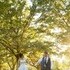 Shawn Mertz Photography - New Kensington PA Wedding Photographer