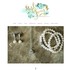 Steph Jones Photography - Fort Myers FL Wedding 