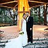 Diamonds & Dreams Wedding Consultants - San Antonio TX Wedding Planner / Coordinator Photo 11