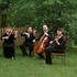 Sequoyah Strings - Knoxville TN Wedding  Photo 4
