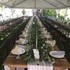 Premiere Catering Company - Portland OR Wedding Caterer Photo 3