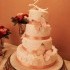 Icing on the Cake - Trexlertown PA Wedding Cake Designer Photo 18