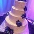 Icing on the Cake - Trexlertown PA Wedding Cake Designer Photo 21