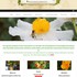 Rancho Santa Fe Garden Club - Rancho Santa Fe CA Wedding 