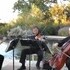 Forte' Strings - Fort Worth TX Wedding Ceremony Musician Photo 2