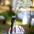 Susan Stevison Photography - Pineville LA Wedding Photographer Photo 19