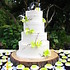 Couture Cakes of Greenville - Greenville SC Wedding  Photo 3