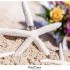 Right Frame Photography Oahu Wedding Photographer - Honolulu HI Wedding Photographer Photo 9