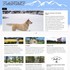 Flagstaff Nordic Center - Flagstaff AZ Wedding 