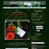 Good Old Days Eco Florist - New Windsor NY Wedding 