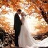 Weddings by Reverie - Erie PA Wedding Officiant / Clergy Photo 8
