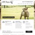 1818 Farms - Mooresville AL Wedding 