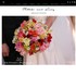 Petals & Lucy - Phoenix AZ Wedding Florist