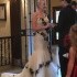 Ozark Wedding Officiant - Ozark AL Wedding  Photo 2